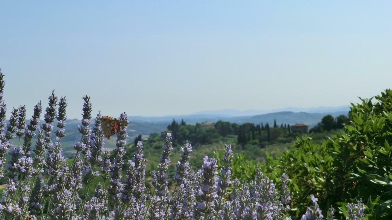 Appartamenti Ava E Tegrino Nell'Antica Dimora Di Fulignano San Gimignano Dış mekan fotoğraf