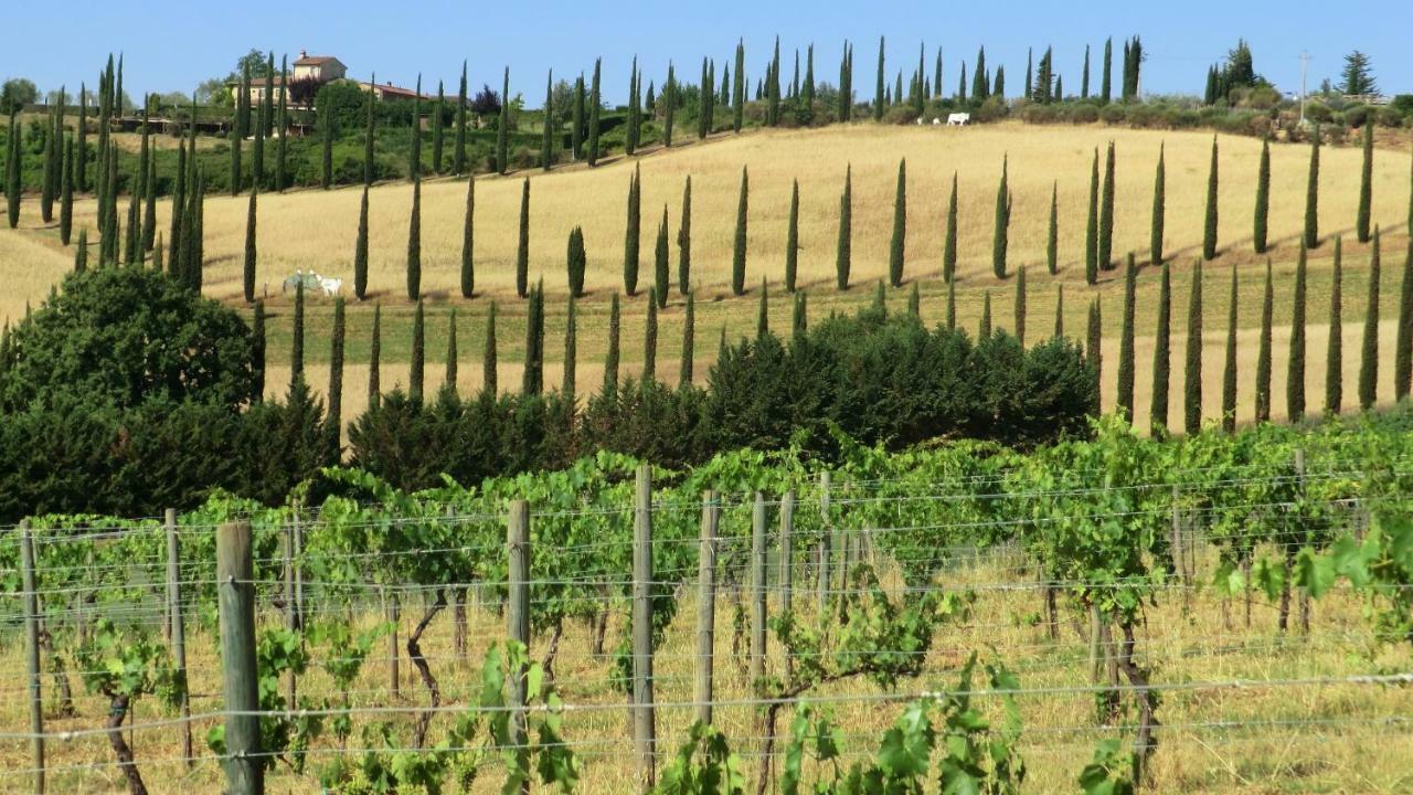 Appartamenti Ava E Tegrino Nell'Antica Dimora Di Fulignano San Gimignano Dış mekan fotoğraf